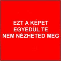 videoclips
